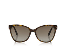 Load image into Gallery viewer, Tom Ford Ani FT0844 Sunglasses - 52H Dark Havana / Brown Polarized
