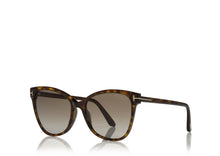 Load image into Gallery viewer, Tom Ford Ani FT0844 Sunglasses - 52H Dark Havana / Brown Polarized
